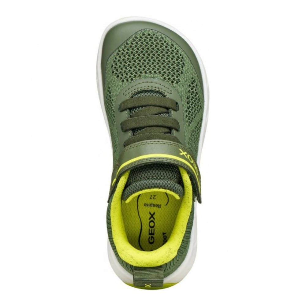 Zapatilla Deportiva Barefoot Geox Verde Rejilla