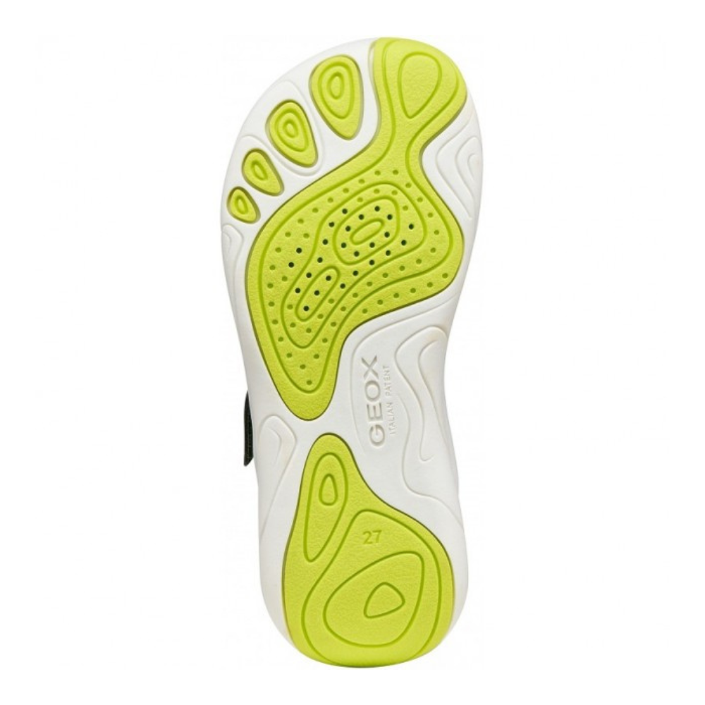 Zapatilla Deportiva Barefoot Geox Verde Rejilla